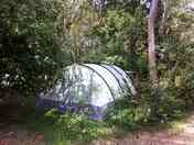 Out in nature