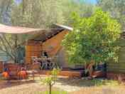 Orange Blossom exterior