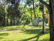 Shaded grass pitches