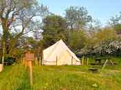 Willows B glamping