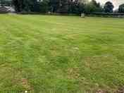 Well kept lawn