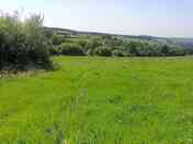 View from pitch