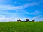 Grassy pitches