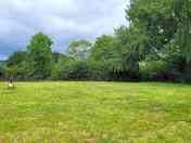 Grass pitches with trees for shelter