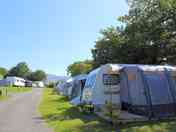 Grass touring pitches backed by trees