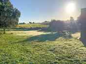Grass pitches