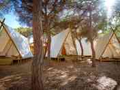 Tipis surrounded by nature (added by manager 09 Jan 2024)