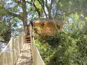 Buis treehouse