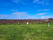 Grass pitch