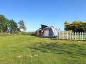 Grass pitches