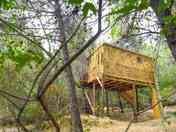 Tucked away in the woods