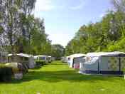 View of the site
