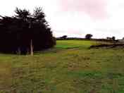 Camping field