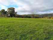 Tent pitches