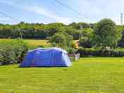 Grass tent pitch