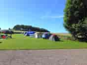 Tent field (added by manager 12 Sep 2013)