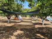 Tent pitches
