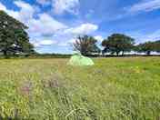 Grass pitches