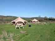 New for 2025 ready-pitched rental tent with four or five beds, electric socket with USB points