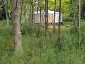 Yurt in the forest