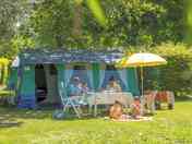 Tree-shaded tent pitch