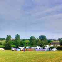The site
