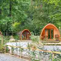 Camping pods on site (added by manager 02 Aug 2022)