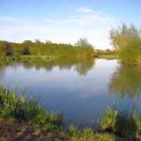 Meadow lake (added by manager 31 Jan 2014)