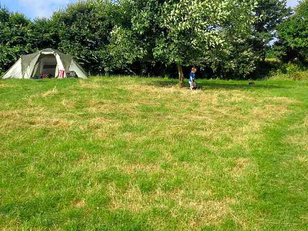 Non-electric grass tent pitch