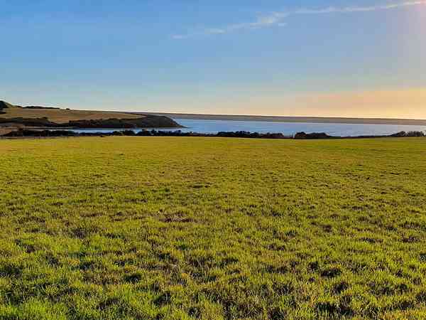 Non-electric grass tent pitch