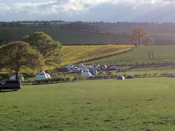 Non-electric grass tent or trailer tent pitch (family)