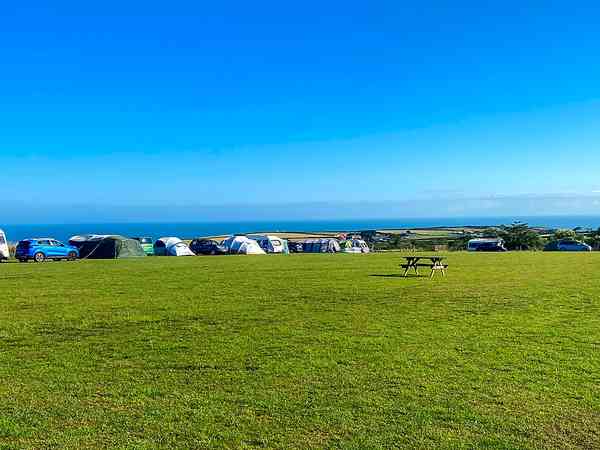 Electric grass pitch