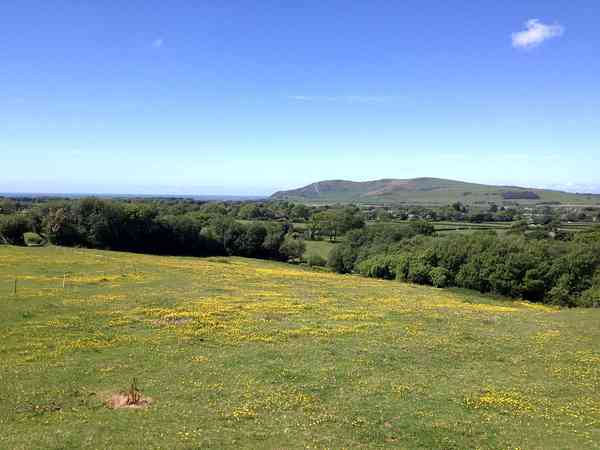 Sunset Bay non-electric grass tent pitch