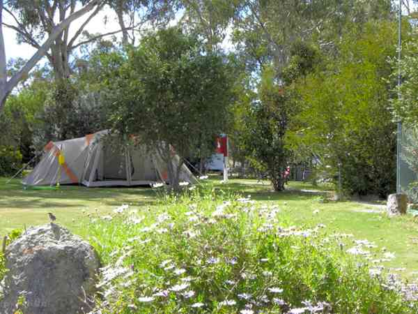 Unpowered grass and gravel site