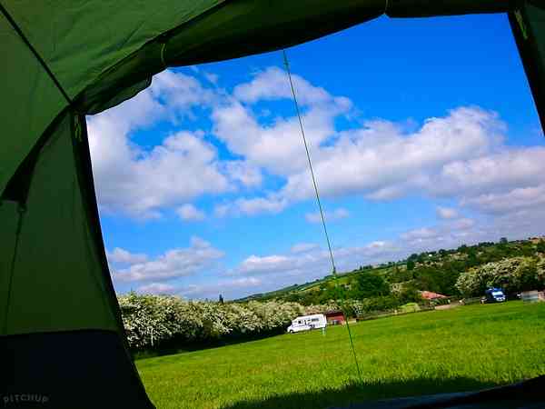 View from a tent View from a tent