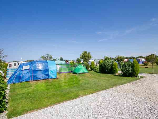 Gold staplaats voor een tent, voor vouwwagen of voor caravan op gras , met elektriciteit (groot)