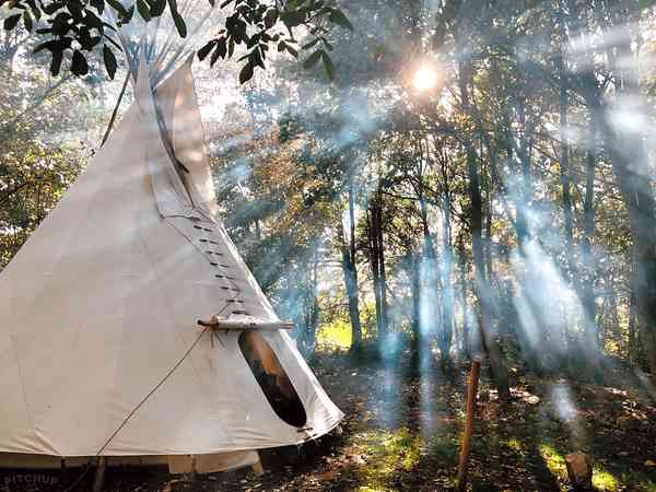 Tipi catching rays Tipi catching rays