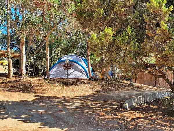 Emplacement pour tente sur sol dur et herbe avec électricité optionnelle