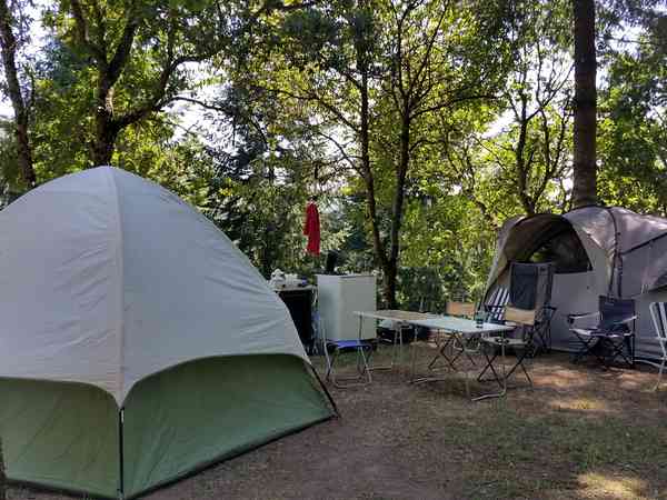 Bewaldeter Stellplatz mit Stromanschluss (Komfort)