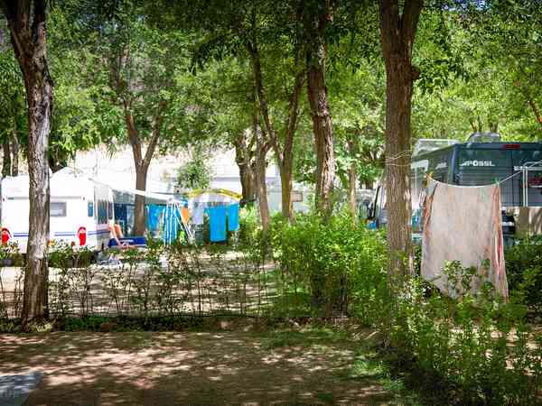 Power optional grass tent site