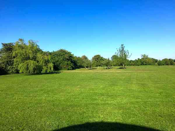 Electric grass pitch