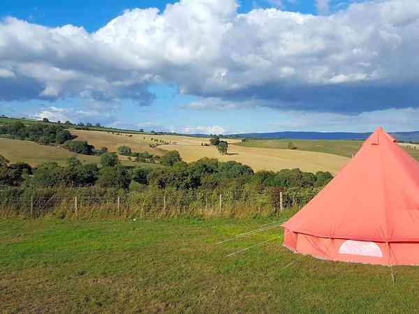 Primitive grass tent, trailer tent or campervan site