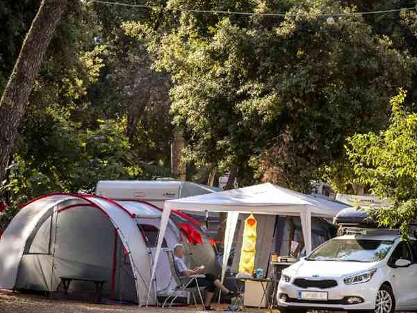 Electric forest floor pitch