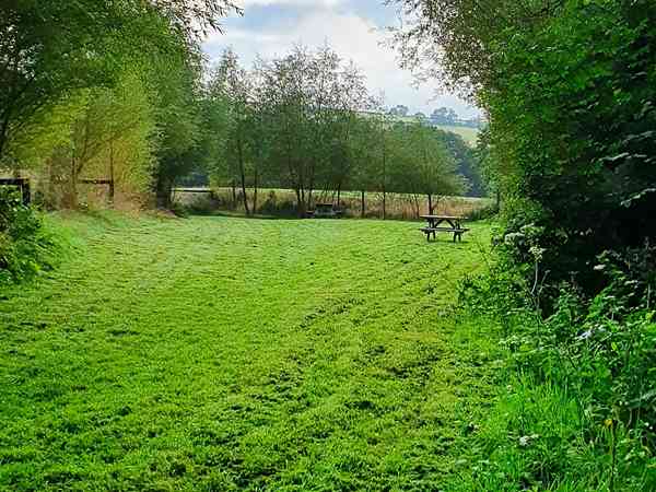 Non-electric grass tent pitch (2 adults and 2 children)