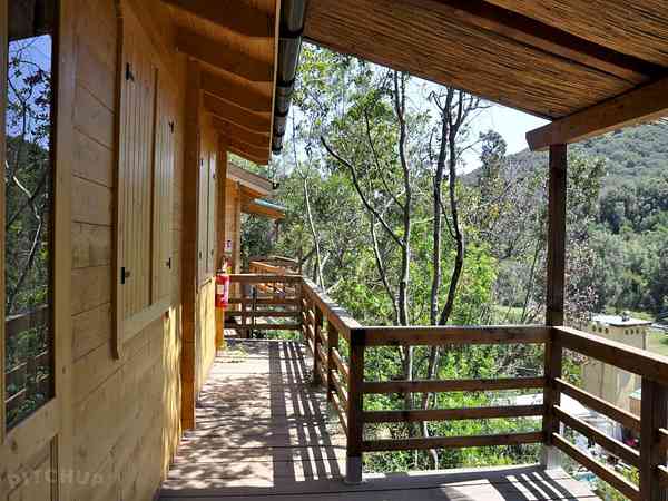 Casa sull'albero Tamba 2 camera