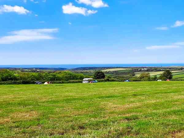 Primitive grass campervan site
