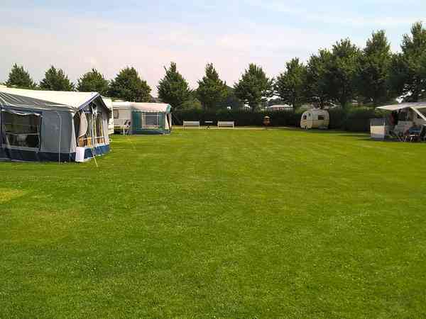 Spacious grass pitches Spacious grass pitches