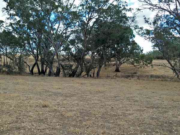 Secluded pitch overlooking the dam in Margs Paddock Secluded pitch overlooking the dam in Margs Paddock