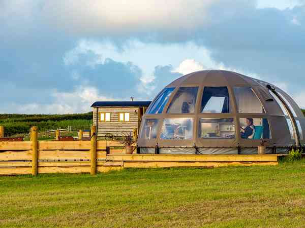 Stowe Stargazer geodesic dome (maximum 4 adults)