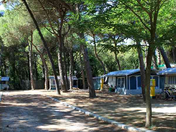Emplacement pour autocaravane sur terrain mixte avec électricité (large)